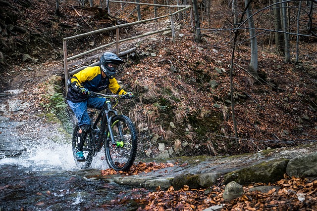 Serwis rowerów enduro jaki wybrać?