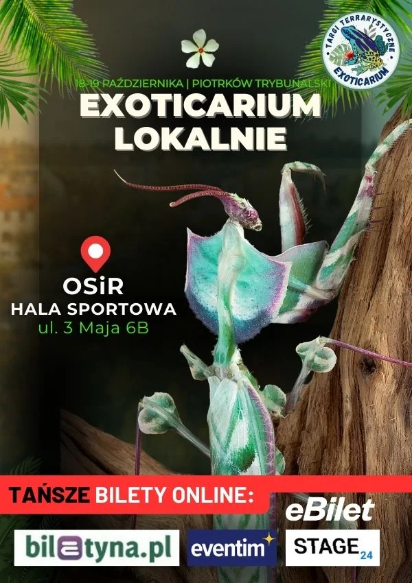 🐍 Targi Terrarystyczne EXOTICARIUM LOKALNIE w Piotrkowie Trybunalskim