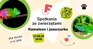 Spotkanie ze zwierzątkami Kameleon i jaszczurka
