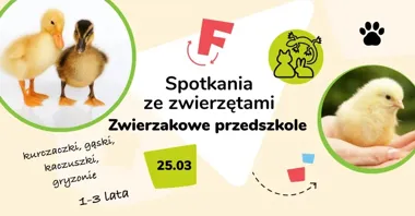 Grafika promocyjna wydarzenia Zwierzakowe przedszkole – warsztaty z żywymi zwierzętami dla maluchów