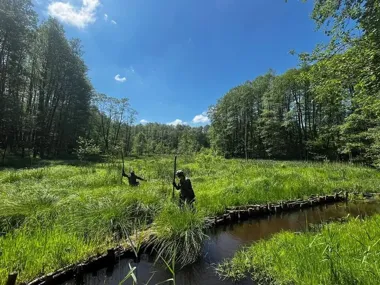 Grafika promocyjna wydarzenia Survival na Bagnach — praktyczne szkolenie poruszania się po terenach podmokłych