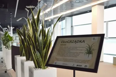 W Mediatece 800-lecia wyrósł ogród, który uczy ekologii od korzenia