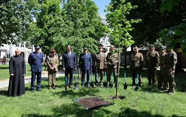 Dąb Pamięci stanął w parku. Piotrków oddał hołd weteranom misji