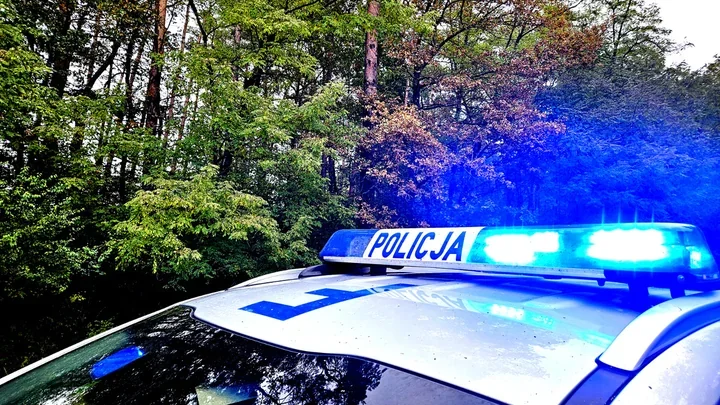 Jesień na drogach Piotrkowa - mgła, mokre liście i dzikie zwierzęta