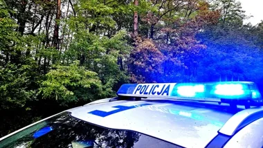 Jesień na drogach Piotrkowa - mgła, mokre liście i dzikie zwierzęta