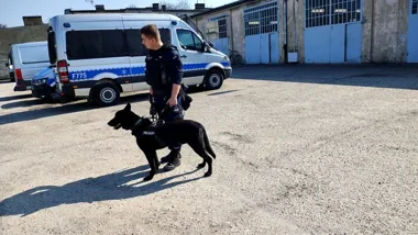 Hades - nowy policyjny tropiciel w Piotrkowie, trenował w Sułkowicach