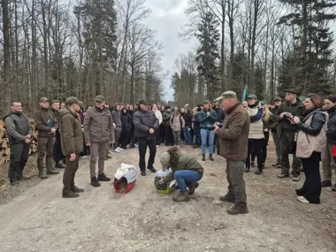 Pod Moszczenicą posadzili 8 tysięcy drzew i oddali naturze dwa myszołowy