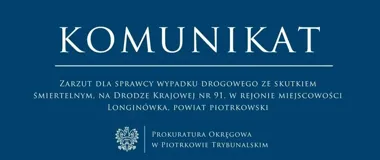 Tymczasowy areszt po śmiertelnym wypadku na DK91 pod Piotrkowem
